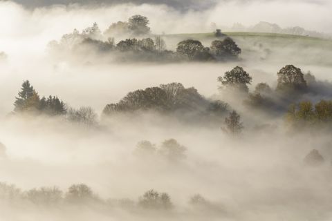 Layered mist in the valley of the Semois