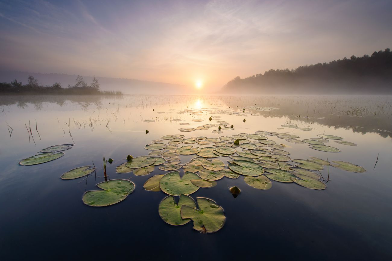 Zonsopgang boven ven