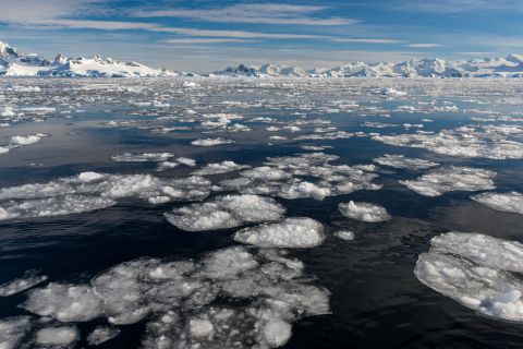 Pannekoekijs in Wilhelmina baai in Antarctica