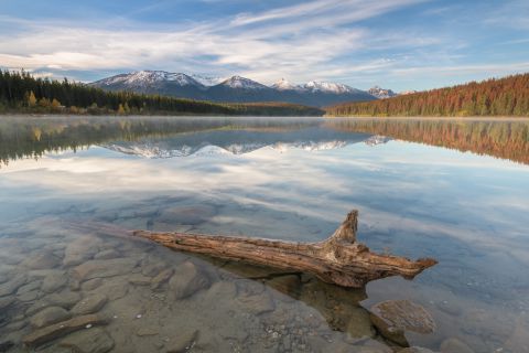 Patricia Lake