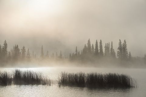 Misty lake at sunrise