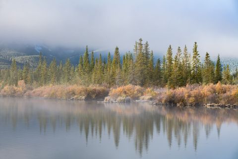 Misty shore