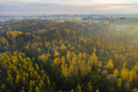 Bos 't Ename vanuit de lucht