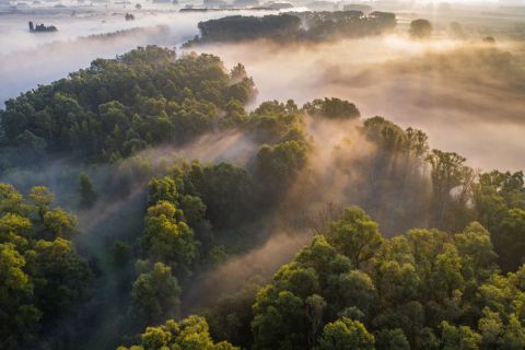 Reytmeersen vanuit de lucht