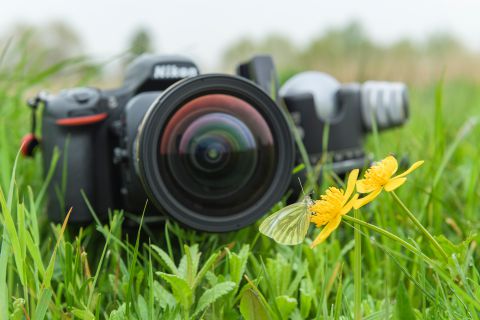 Macrofotografie vanaf statief