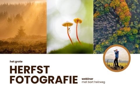 Het grote Herfstfotografie webinar