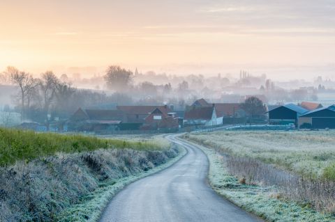 Knokteberg op een winterochtend