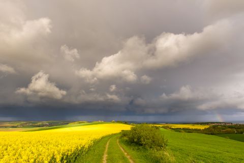 Thunderstorm